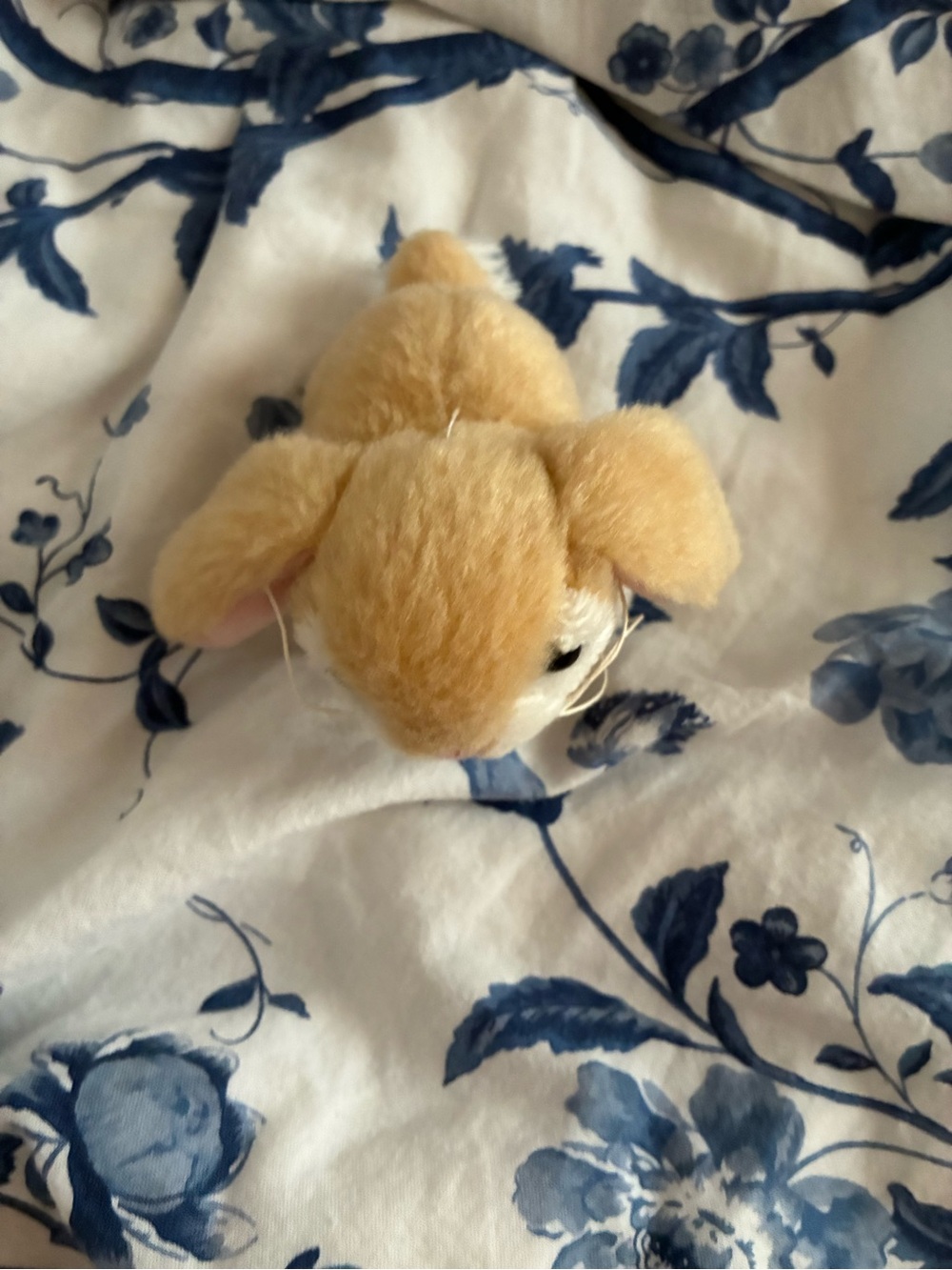 Mapley and American Girl doll Clothes